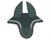 massgeschneidert-fliegenohren-caroline-civic-animo-Animo
